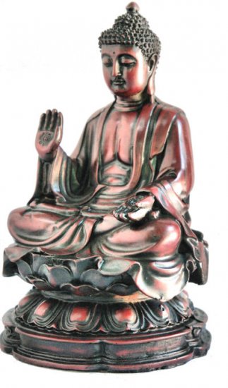 Large Buddha on Lotus wood looking RB-800R